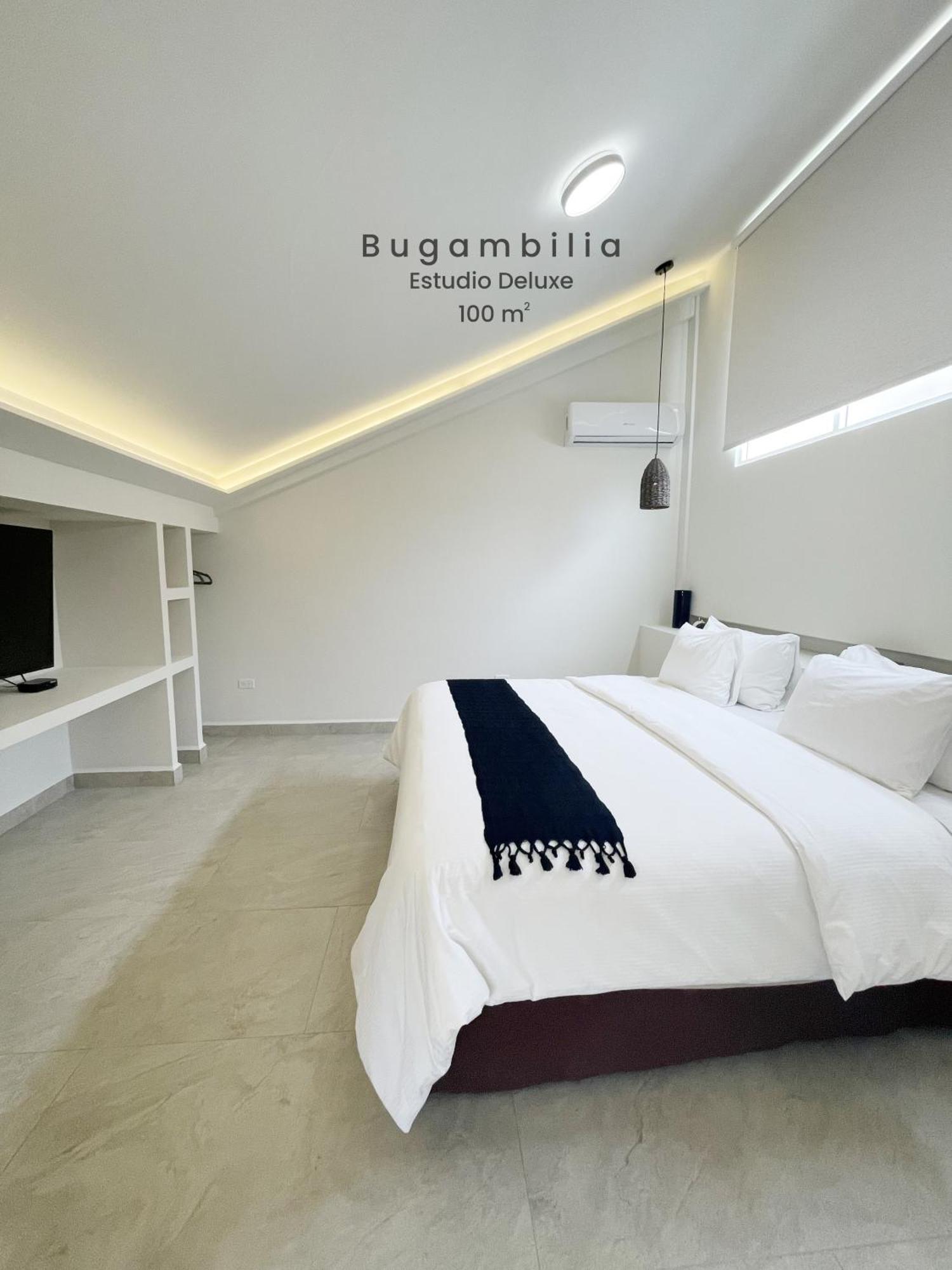 Marisol Hotel Boutique San José del Cabo Exteriér fotografie